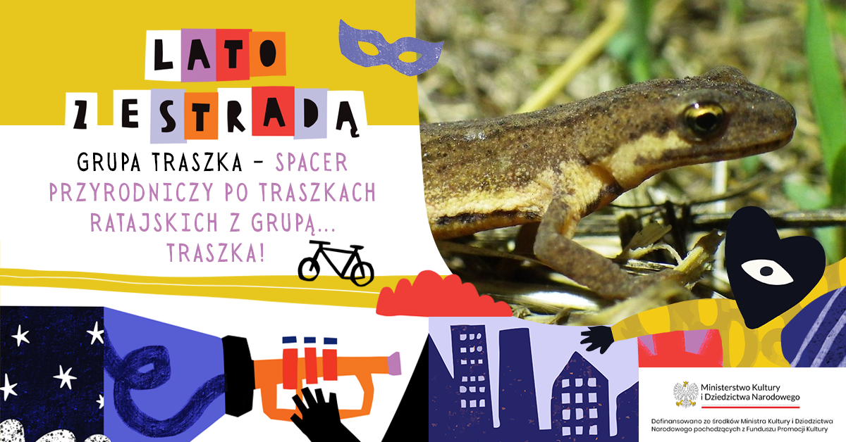 Grupa Traszka – spacer przyrodniczy po Traszkach Ratajskich z Grupą... Traszka!